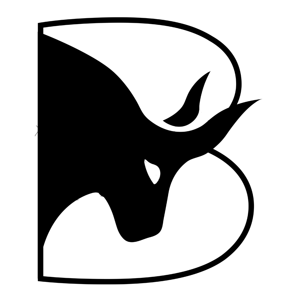 Bulleon ICO logo in ICO Blizzard