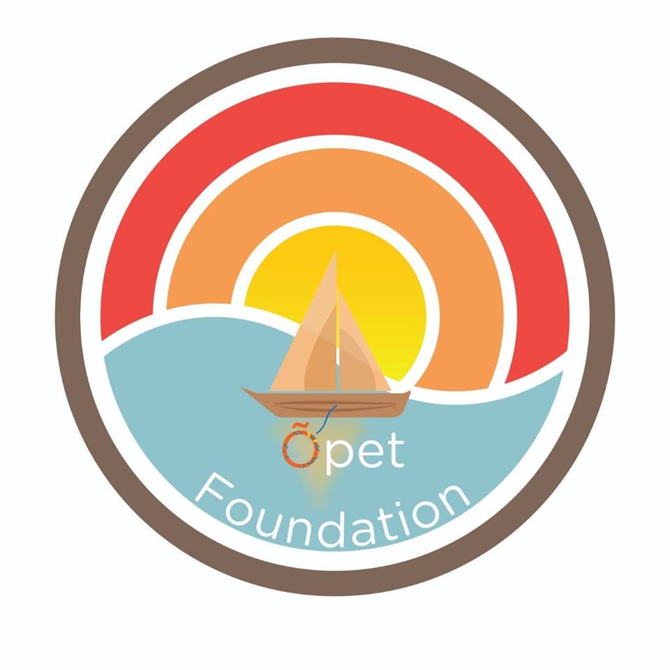Õpet Foundation ICO logo in ICO Blizzard